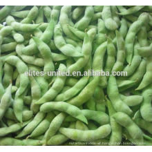 frozen green soybean